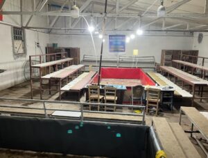 Horoz dövüştürüp bahis oynayan 26 kişiye ceza yağdı