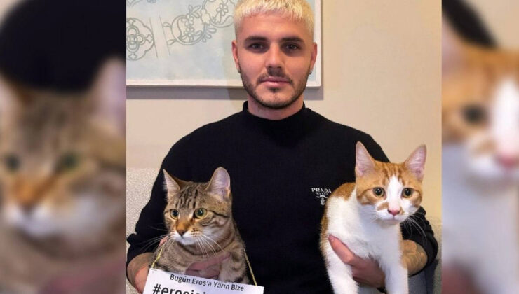 İstanbul Başakşehir'de kedi öldüren İbrahim Keloğlan yeniden yargılanıyor! Galatasaray'lı futbolcu Icardi'den kedi Eros için adalet çağrısı – Güncel haberler