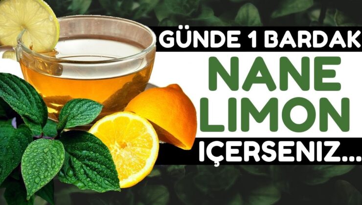Nane limon faydaları, Nane limon tarifi